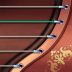 Guzheng Master Đàn Tranh