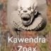 Kawendra Zpax