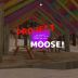 Project MooseSS