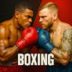 Boxing Fighting Clash